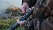 Les buralistes pourront vendre des munitions aux chasseurs dès le 1er janvier 2024