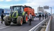 Les agriculteurs manifestent notamment contre la multiplication des normes qui s'imposent à eux.