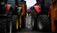 agriculteurs