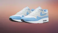Offre à ne pas manquer sur les Nike Air Max 1