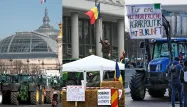 France, Allemagne, Roumanie... En Europe, la colère des agriculteurs monte contre la politique de Bruxelles