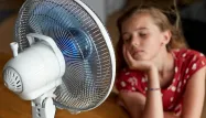 Notre top 5 des meilleurs ventilateurs colonnes