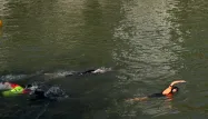 JO Paris 2024 : le premier entraînement de triathlon annulé, l'eau de la Seine est polluée