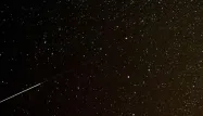 Nuit des étoiles : dans le Beaujolais, les Perséides ont illuminé le ciel et les yeux des spectateurs