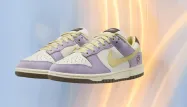 Les baskets Nike Dunk Low Premium en promo