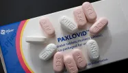 paxlovid