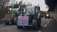 Pour dénoncer les différentes interdictions qui pèsent sur eux, les agriculteurs avaient déjà manifester à Perpignan fin janvier.