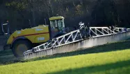 «Les politiques nous prennent pour des imbéciles» : la détermination des agriculteurs avant la nouvelle mobilisation