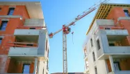 construction logement promoteur