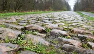 paris roubaix