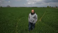 Agriculture Ukraine