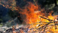 90% des feux de forêts sont d'origine humaine. (Illustration)
