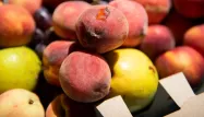 La consommation des fruits et légumes d'été en baisse à cause du mauvais temps