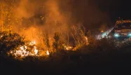 feu incendie forêt