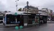 Bus