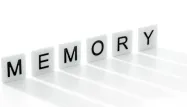 memory mémoire cerveau