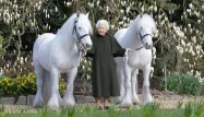 Elizabeth II poney 96 ans