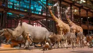 muséum d'histoire naturelle