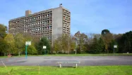 "Meufs de la cité" : un documentaire édifiant sur l'isolement des banlieues