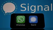 Signal Whatsapp