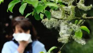 Quelques astuces pour éviter les allergies saisonnières