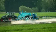 Neuf communes franciliennes ont pris un arrêté anti-pesticides, mardi.