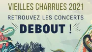 Public des Vieilles Charrues en 2019