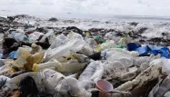 Selon une association, plus de 200.000 tonnes de plastique sont jetées chaque année en Méditerranée