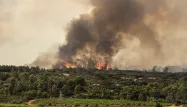 L'incendie a parcouru plus de 800 hectares.