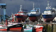 Bateaux de pêche au port de Guilvinec, Finistère, marins