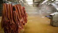 34 cas de coronavirus ont été détectés dans un abattoir de Fleury-lès-Aubrais.