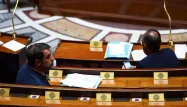 Le ministre de l'Intérieur, Christophe Castaner, et le Premier ministre, Edouard Philippe, à l'Assemblée nationale.