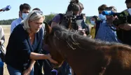 Marine Le Pen RN Animaux Chevaux