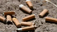 La moitié des cigarettes fumées voient leurs filtres finir au sol, passant du caniveau aux ruisseaux pour arriver dans les océans, rappelle Fanny Agostini.