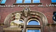 L'Institut Pasteur de Lille développe un vaccin contre le Covid-19 à administrer par le nez.