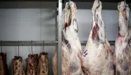 Viande avariée polonaise : "Il faut des sanctions bien plus dissuasives"