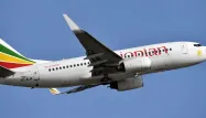 Un Boeing 737 MAX 8 de la compagnie Ethiopian Airlines s'est écrasé dimanche.