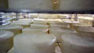 La liste concerne des fromages au lait cru fabriqués par la société Fromagerie Alpine. (Photo d'illustration)