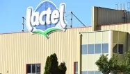 Des laits infantiles Lactel ont été rappelés pour des risques de moisissures.