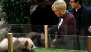 Brigitte Macron est la marraine de Yuan Meng, panda né au zoo de Beauval, qui doit repartir en Chine dans deux ans.