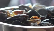 VIDÉO - Les Recettes des Bons Vivants : les moules en escabèche au chorizo et au cidre de Bérangère Fagart