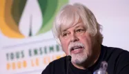 paul watson