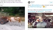 lait, crédit : captures d'écran Twitter / montage Europe 1 - 1280