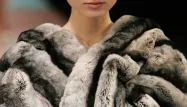 Plus aucune nouvelle fourrure ne pourra être vendue à San Francisco en 2019 (image d'illustration).