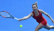 Seimona Halep a dû s'employer pour battre Petra Martic