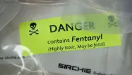 Selon le quotidien The Guardian, il aurait été empoisonné au fentanyl, un puissant opiacé.