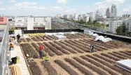 La Poste, potagers, Facebook / Communauté Facteur Graine 1280