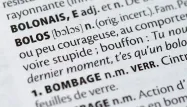 Chaque année, les dictionnaires de référence intègrent de nouveaux mots (image d'archives).