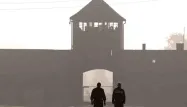 Auschwitz 1280