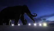 mammouth 1280 NATALIA KOLESNIKOVA / AFP